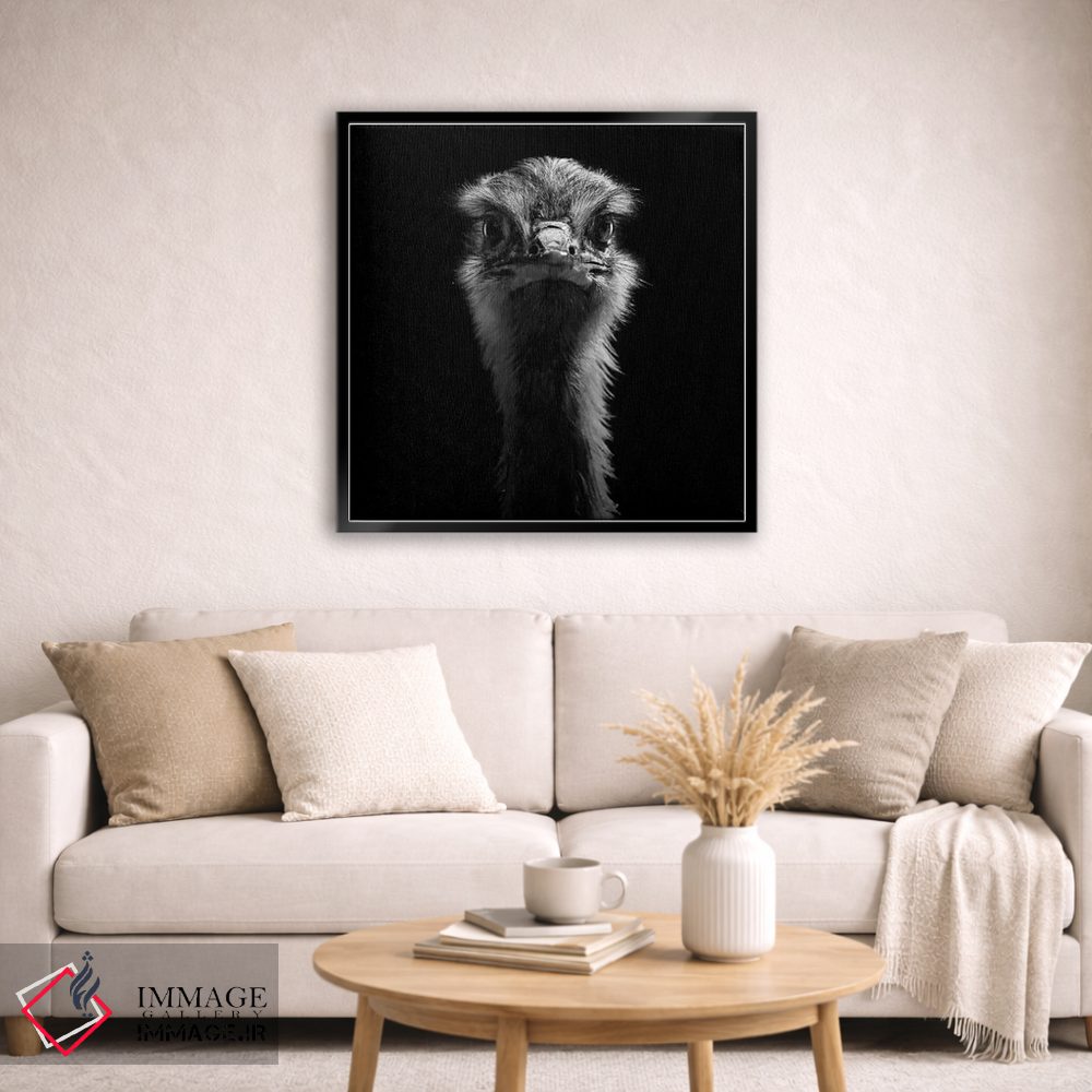 تابلو دکوراتیو شترمرغ سیاه و سفید اثر لوکاس هلاس - D5B