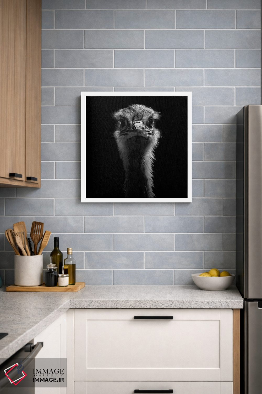 تابلو دکوراتیو شترمرغ سیاه و سفید اثر لوکاس هلاس - D4W