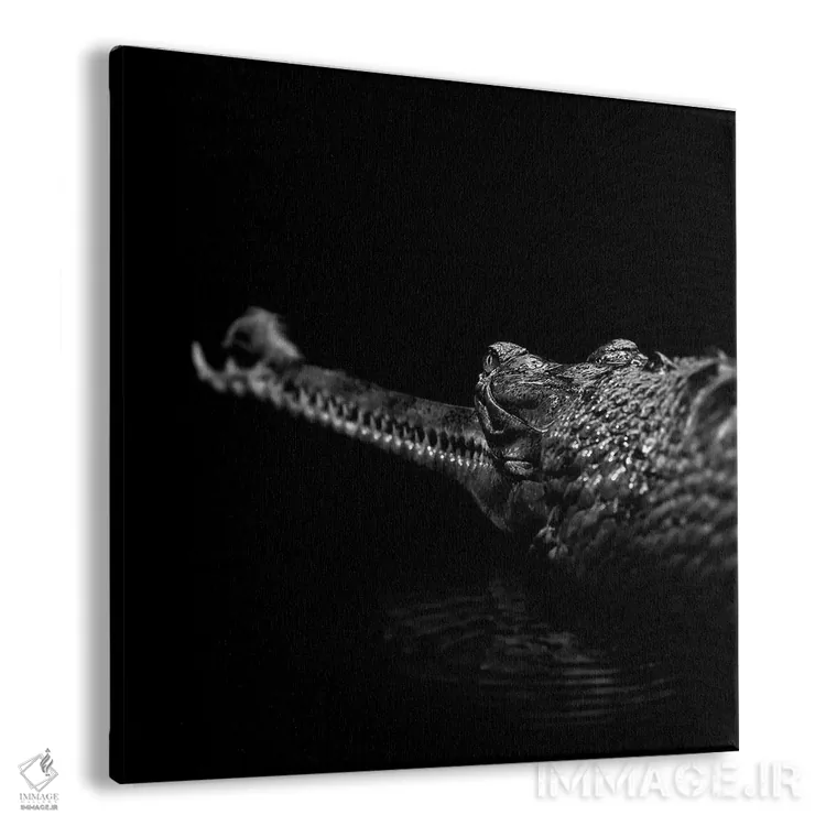 تابلو دکوراتیو گاویا ل سیاه و سفید اثر لوکاس هلاس - نمای پرسپکتیو محصول