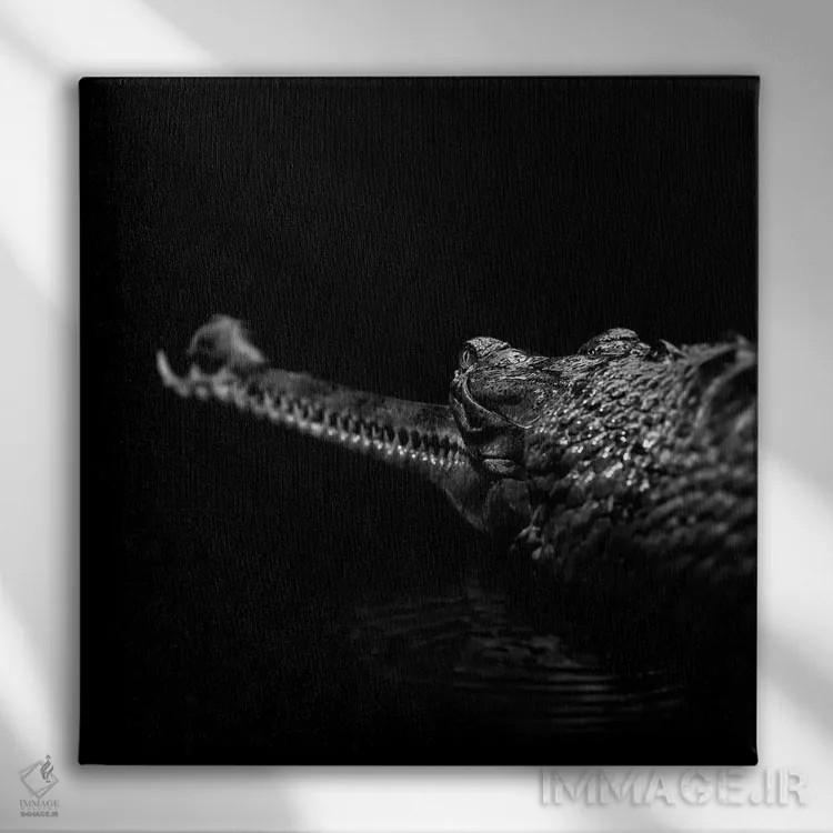 تابلو دکوراتیو گاویا ل سیاه و سفید اثر لوکاس هلاس - نمای روبهرو روی دیوار