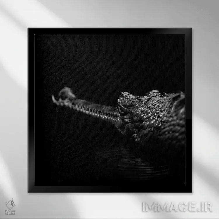 تابلو دکوراتیو گاویا ل سیاه و سفید اثر لوکاس هلاس - نمای قابدار مشکی