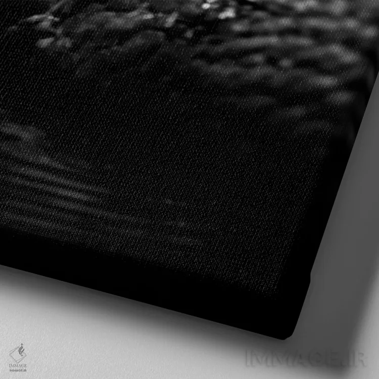 تابلو دکوراتیو گاویا ل سیاه و سفید اثر لوکاس هلاس - نمای نزدیک بافت بوم