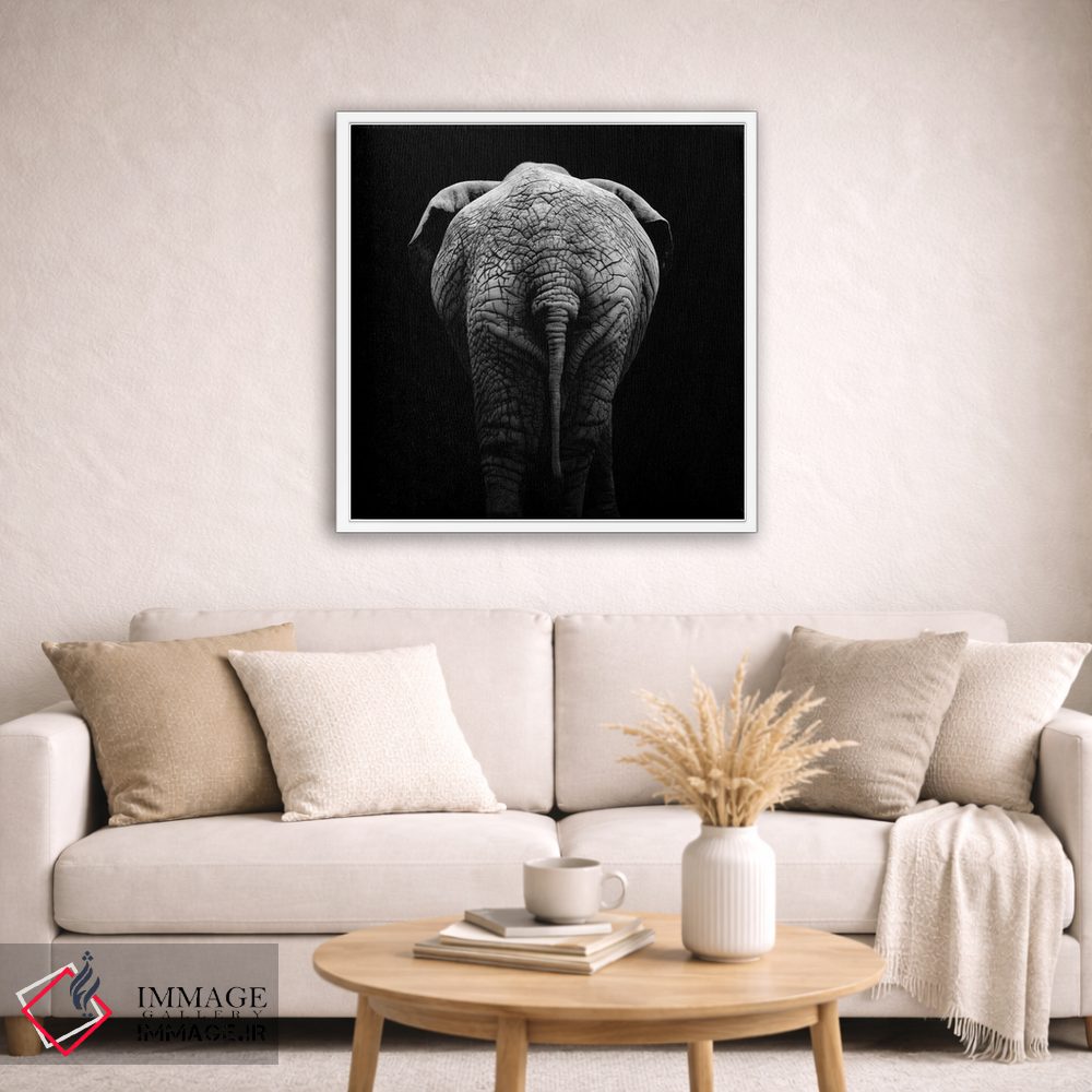 تابلو دکوراتیو فیل سیاه و سفید II اثر لوکاس هلاس - D1W