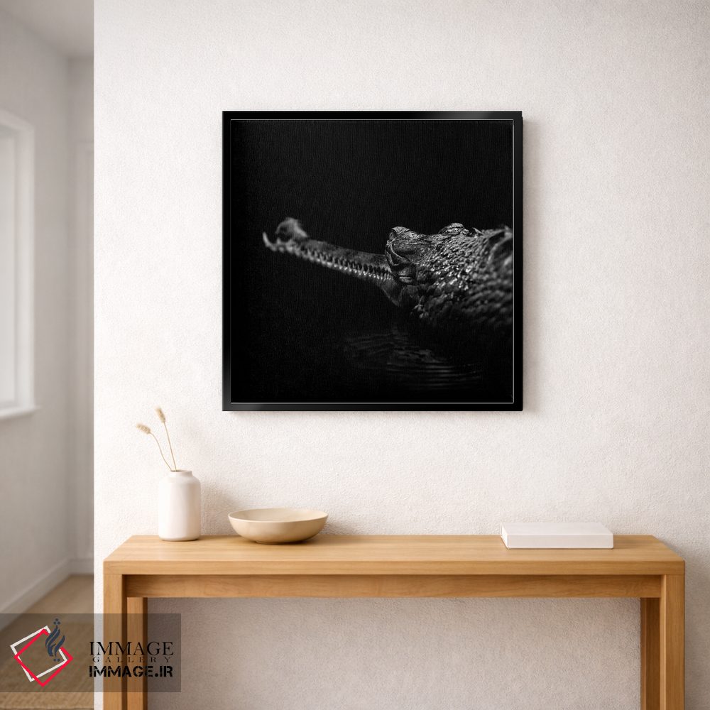 تابلو دکوراتیو گاویا ل سیاه و سفید اثر لوکاس هلاس - D2B