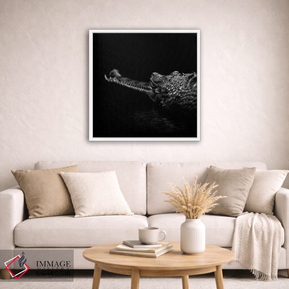 تابلو دکوراتیو گاویا ل سیاه و سفید اثر لوکاس هلاس - D3W