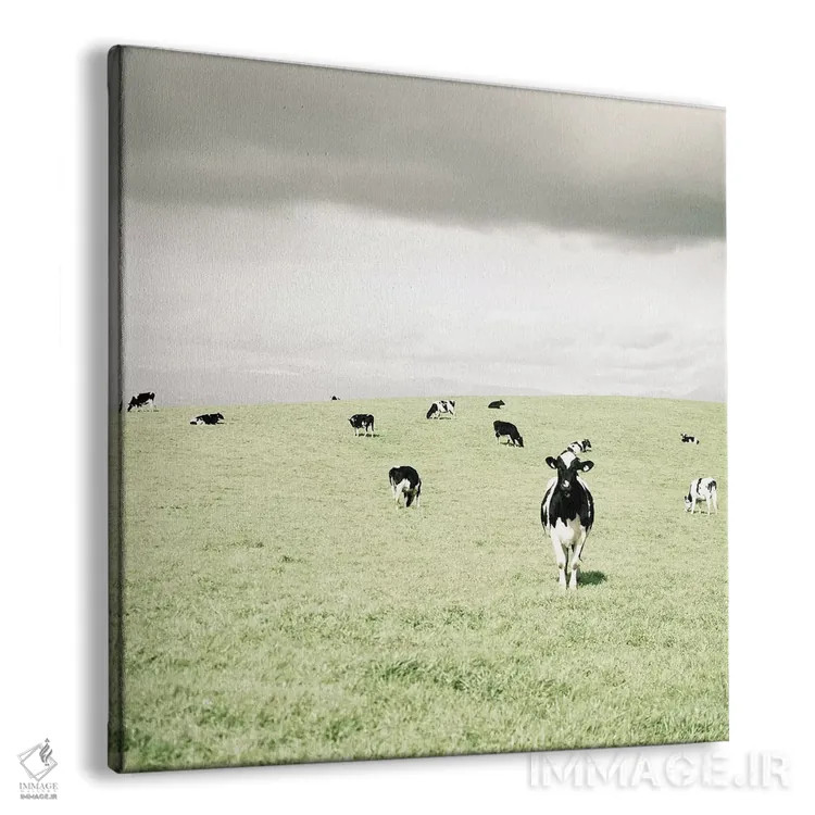 تابلو مدرن گاوهای کنجکاو اثر لوپن گرین - نمای پرسپکتیو محصول