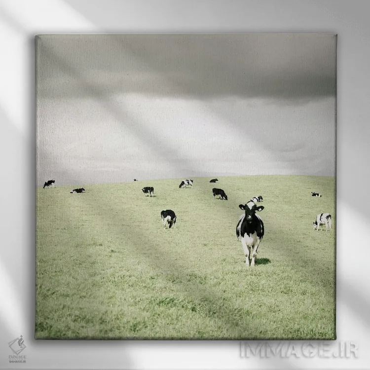 تابلو مدرن گاوهای کنجکاو اثر لوپن گرین - نمای روبهرو روی دیوار