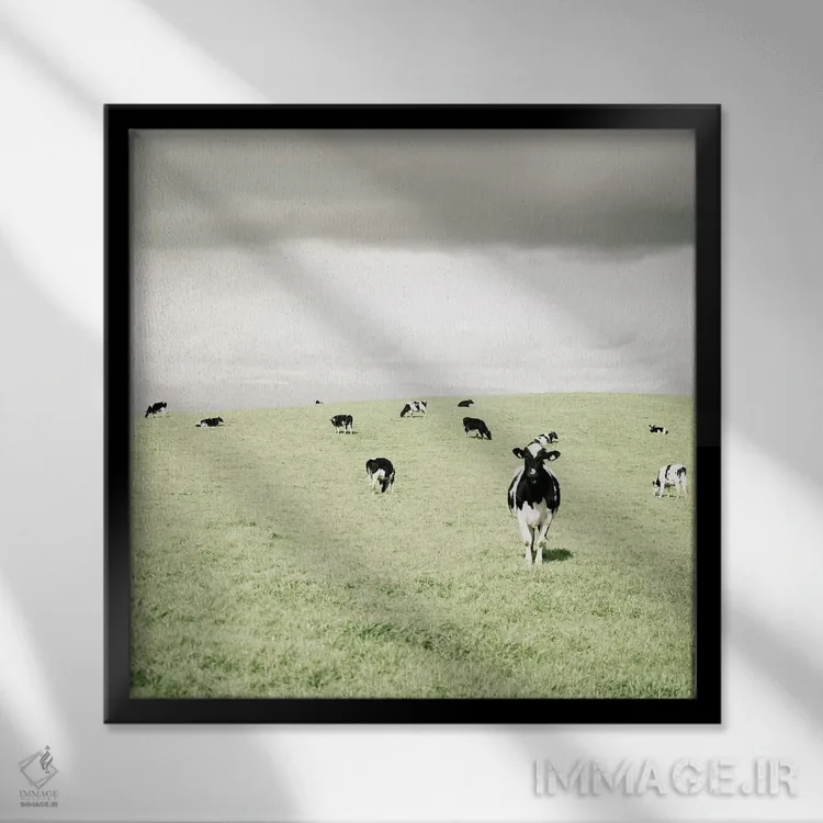 تابلو مدرن گاوهای کنجکاو اثر لوپن گرین - نمای قابدار مشکی