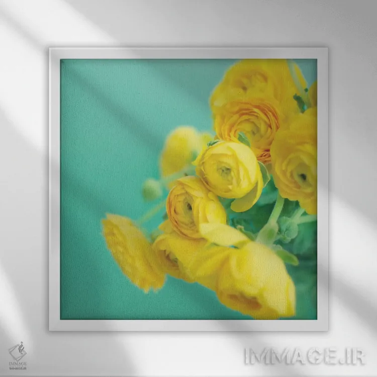 تابلو دکوراتیو شاد در کنار هم اثر لوپن گرین - نمای قابدار سفید