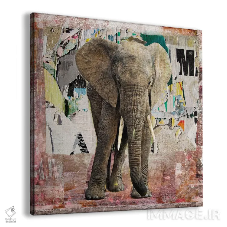 تابلو دکوراتیو پوسترهای پاره فیل اثر لوز گرافیکس - نمای پرسپکتیو محصول