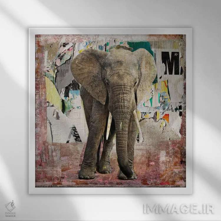 تابلو دکوراتیو پوسترهای پاره فیل اثر لوز گرافیکس - نمای قابدار سفید