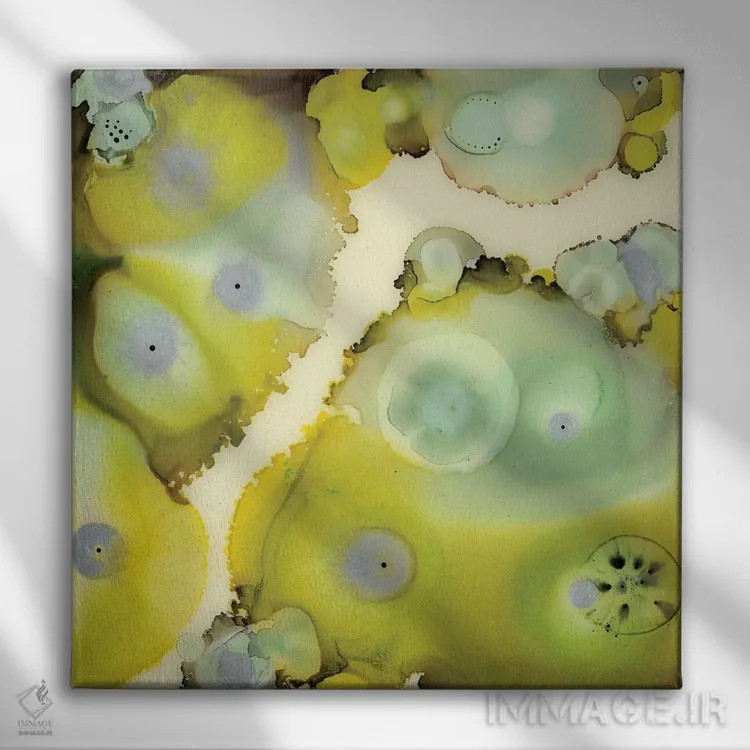 تابلو انتزاعی صخره لیمویی دو اثر لورا ون هورن - نمای روبهرو روی دیوار
