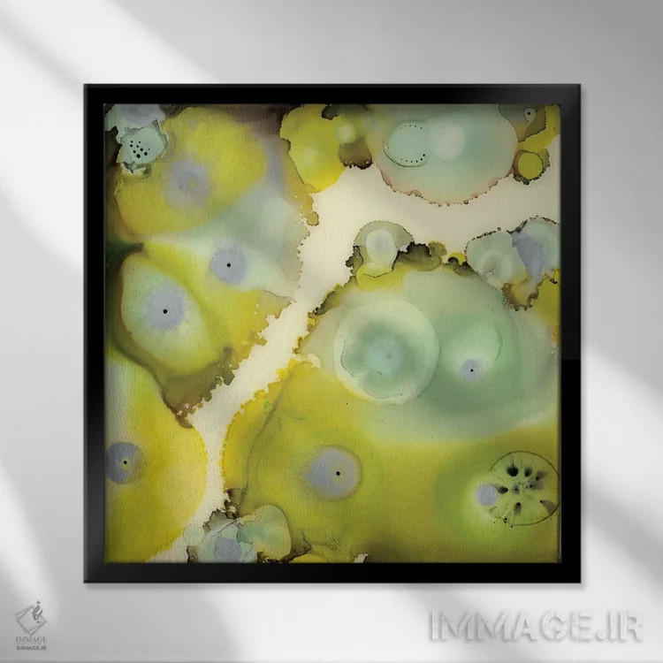 تابلو انتزاعی صخره لیمویی دو اثر لورا ون هورن - نمای قابدار مشکی