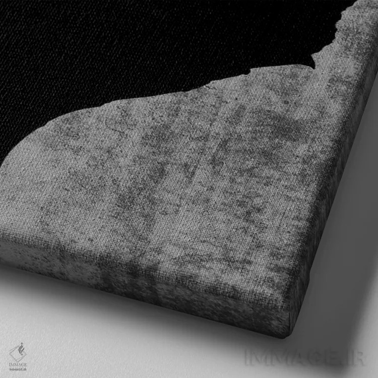 تابلو دکوراتیو تگزاس اثر لوک ویلسون - نمای نزدیک بافت بوم