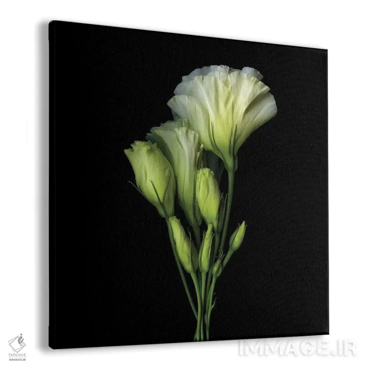 تابلو دکوراتیو دسته ای از شادی و زیبایی اثر مگدا ایندیگو - نمای پرسپکتیو محصول