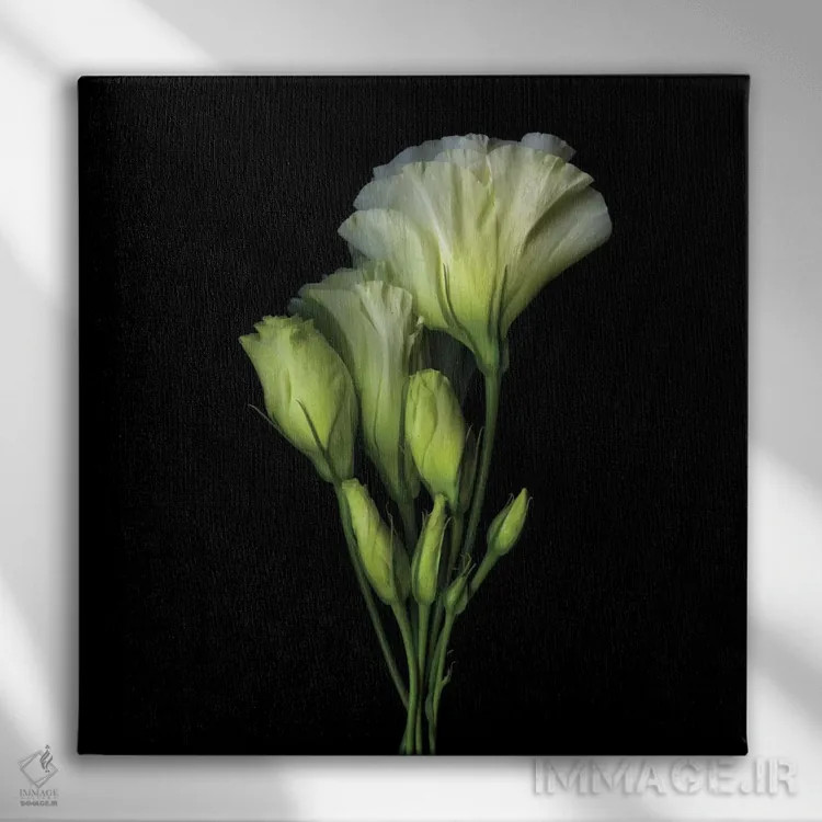 تابلو دکوراتیو دسته ای از شادی و زیبایی اثر مگدا ایندیگو - نمای روبهرو روی دیوار