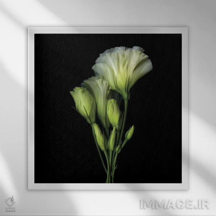 تابلو دکوراتیو دسته ای از شادی و زیبایی اثر مگدا ایندیگو - نمای قابدار سفید