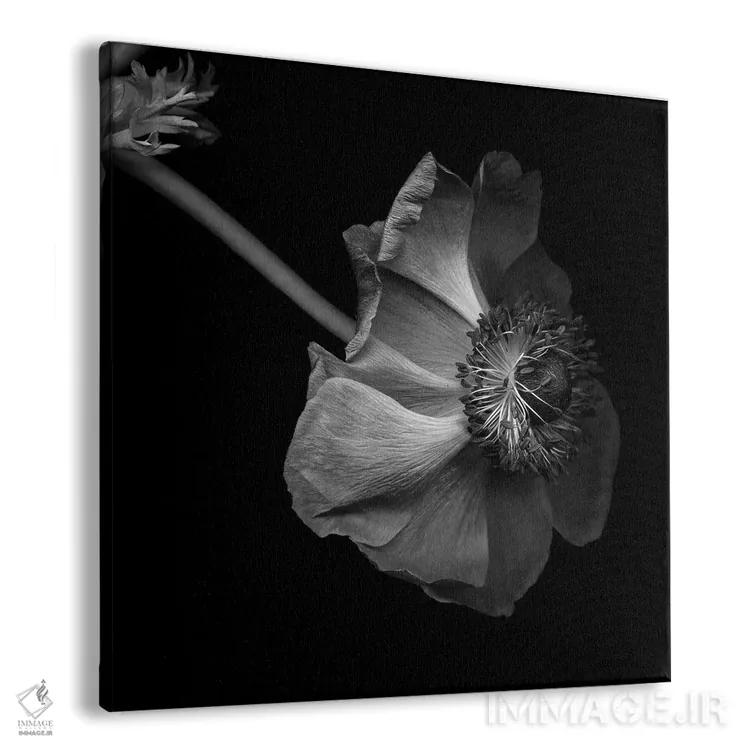 تابلو دکوراتیو شقایق اثر مگدا ایندیگو - نمای پرسپکتیو محصول