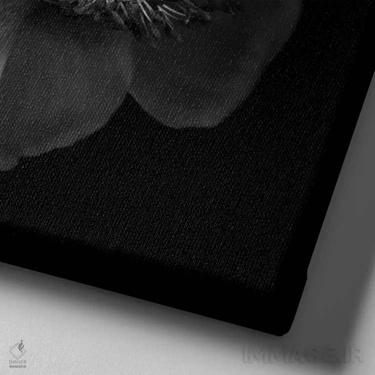 تابلو دکوراتیو شقایق اثر مگدا ایندیگو - نمای نزدیک بافت بوم