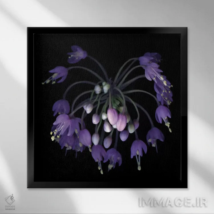 تابلو دکوراتیو آتش بازی آلیوم اثر مگدا ایندیگو - نمای قابدار مشکی