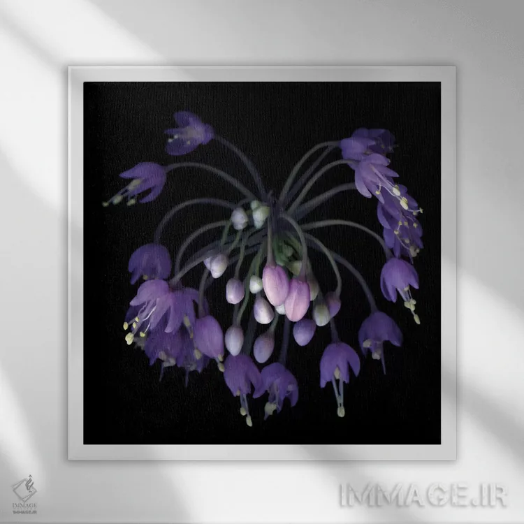 تابلو دکوراتیو آتش بازی آلیوم اثر مگدا ایندیگو - نمای قابدار سفید