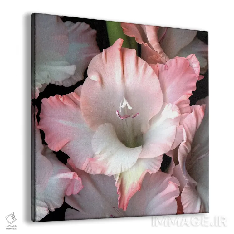 تابلو دکوراتیو و من به تو تقدیم می کنم اثر مگدا ایندیگو - نمای پرسپکتیو محصول