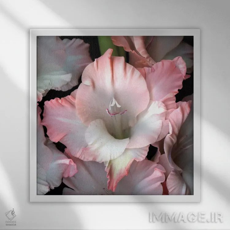 تابلو دکوراتیو و من به تو تقدیم می کنم اثر مگدا ایندیگو - نمای قابدار سفید