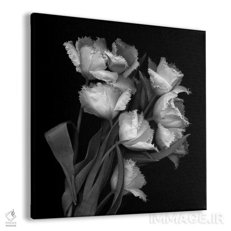 تابلو دکوراتیو لاله های پاره پاره اثر مگدا ایندیگو - نمای پرسپکتیو محصول