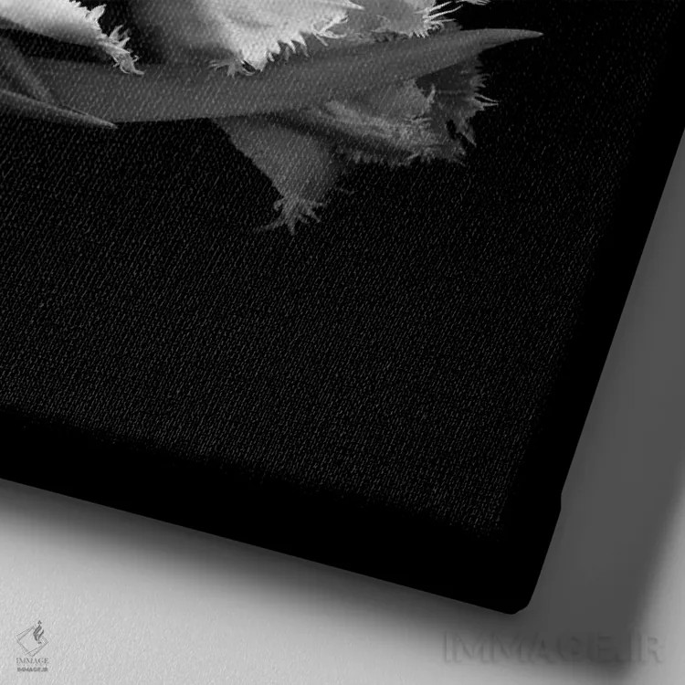 تابلو دکوراتیو لاله های پاره پاره اثر مگدا ایندیگو - نمای نزدیک بافت بوم