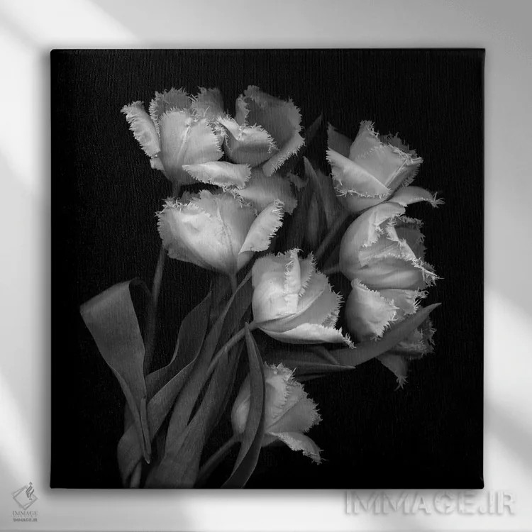 تابلو دکوراتیو لاله های پاره پاره اثر مگدا ایندیگو - نمای روبهرو روی دیوار