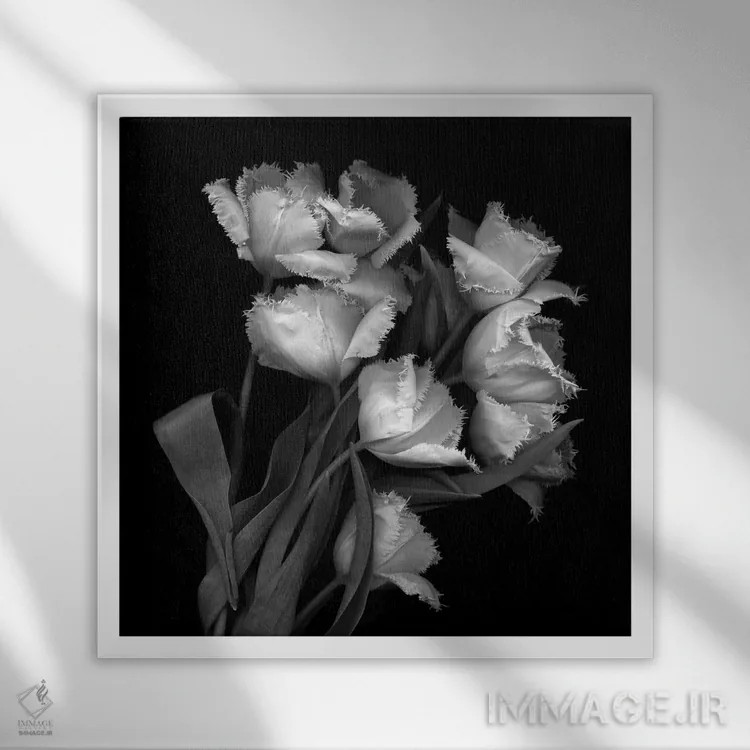 تابلو دکوراتیو لاله های پاره پاره اثر مگدا ایندیگو - نمای قابدار سفید