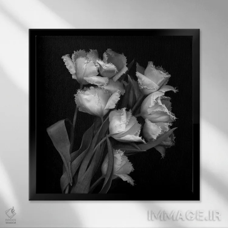 تابلو دکوراتیو لاله های پاره پاره اثر مگدا ایندیگو - نمای قابدار مشکی