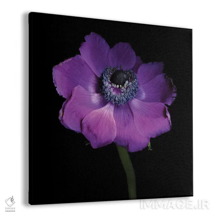 تابلو دکوراتیو شقایق سرزنده اثر مگدا ایندیگو - نمای پرسپکتیو محصول