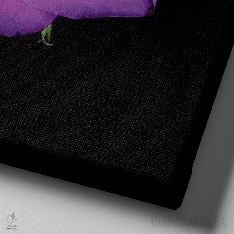 تابلو دکوراتیو شقایق سرزنده اثر مگدا ایندیگو - نمای نزدیک بافت بوم