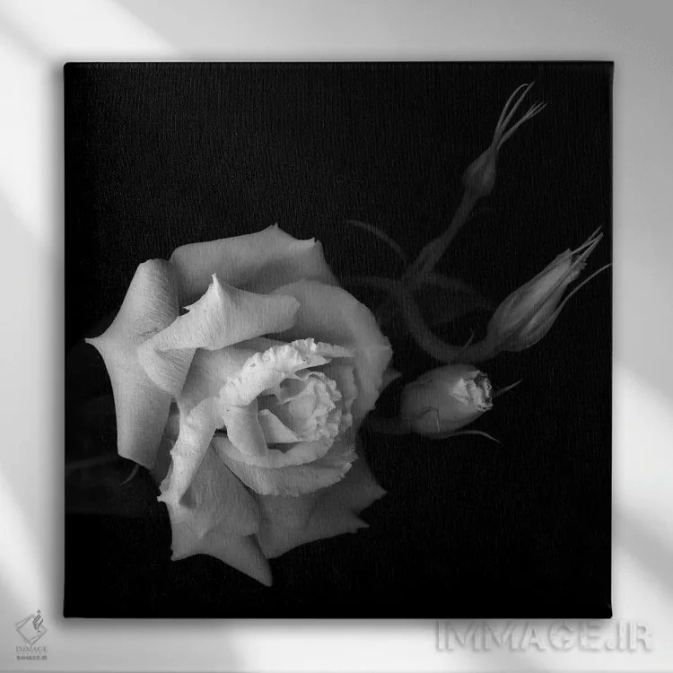 تابلو دکوراتیو لیزیانتوس اثر مگدا ایندیگو - نمای روبهرو روی دیوار