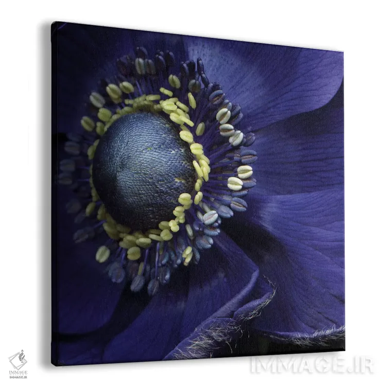 تابلو دکوراتیو شقایق بی نظیر! اثر مگدا ایندیگو - نمای پرسپکتیو محصول