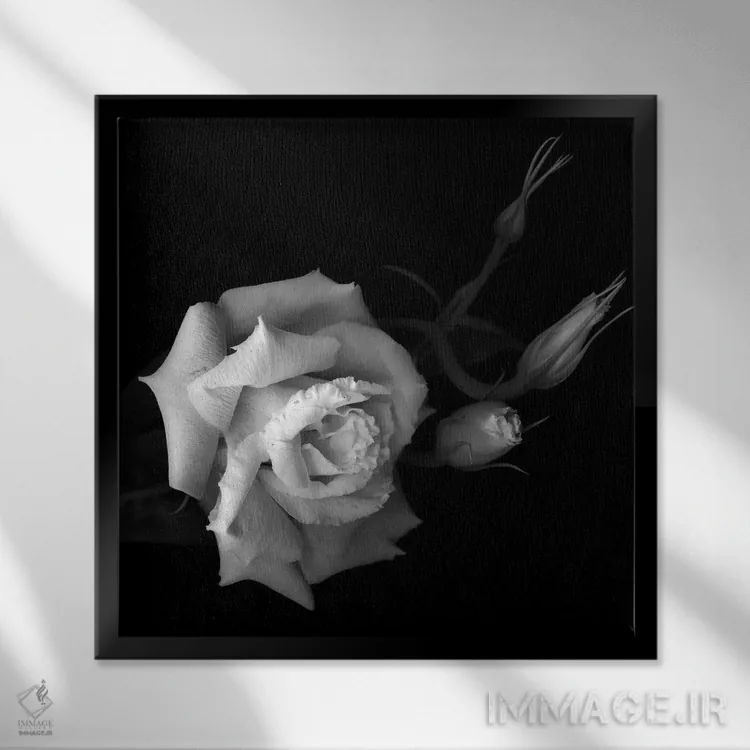 تابلو دکوراتیو لیزیانتوس اثر مگدا ایندیگو - نمای قابدار مشکی