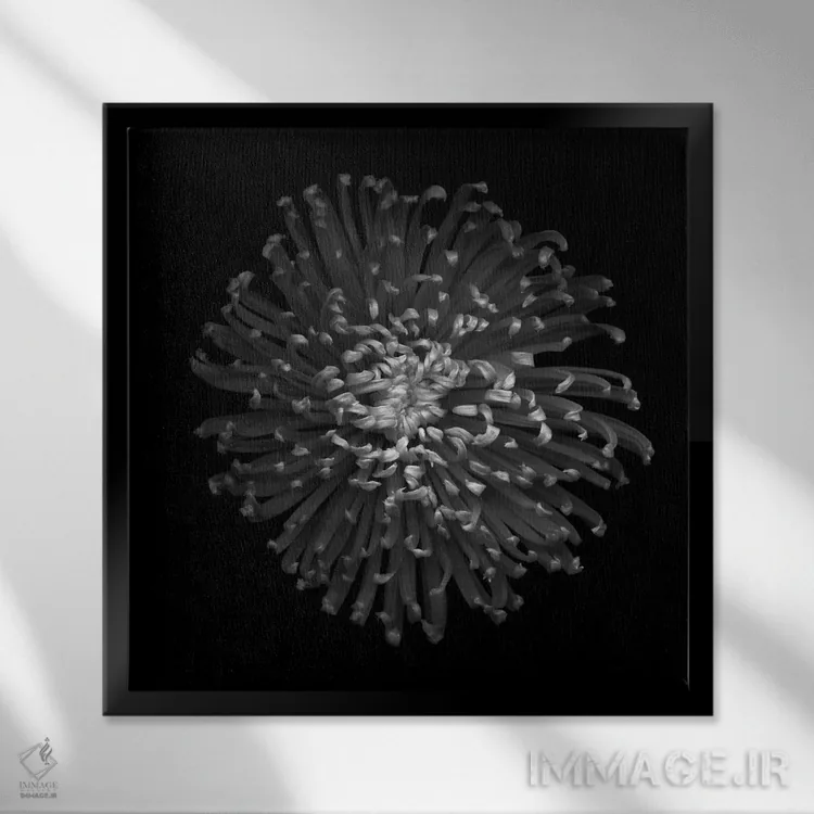 تابلو دکوراتیو داوودی سبز II اثر مگدا ایندیگو - نمای قابدار مشکی