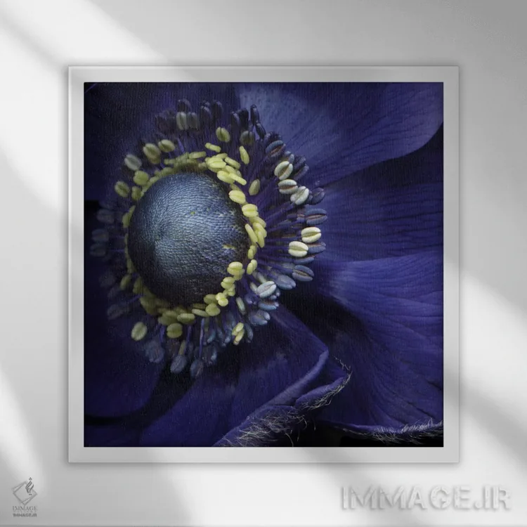 تابلو دکوراتیو شقایق بی نظیر! اثر مگدا ایندیگو - نمای قابدار سفید