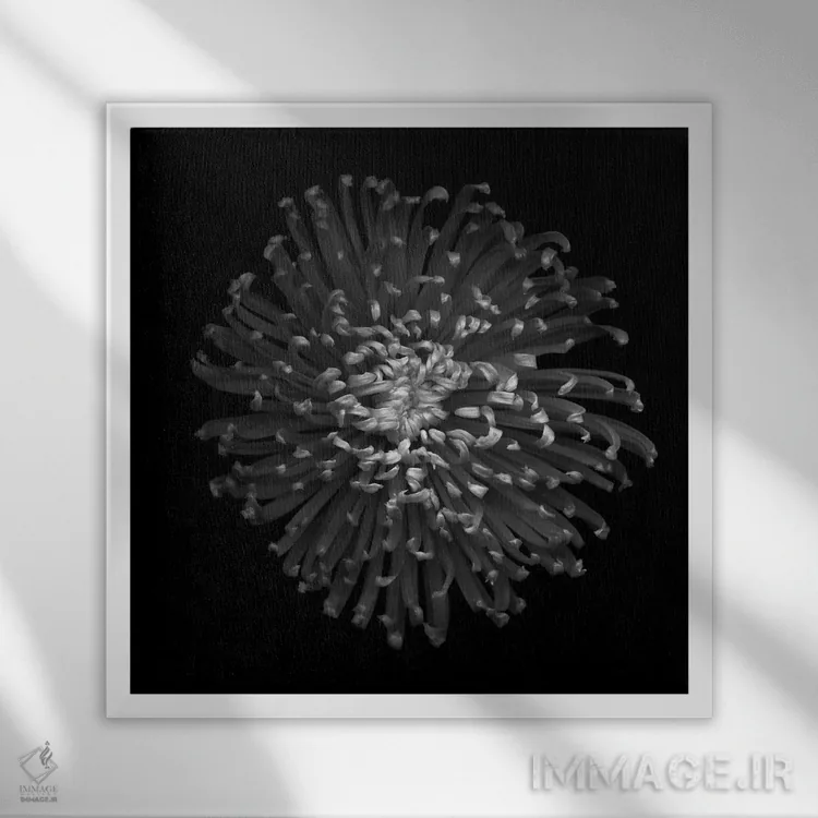 تابلو دکوراتیو داوودی سبز II اثر مگدا ایندیگو - نمای قابدار سفید