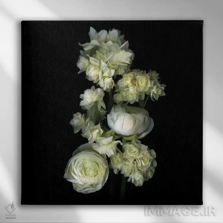 تابلو دکوراتیو گیاهان معطر سفید اثر مگدا ایندیگو - نمای روبهرو روی دیوار