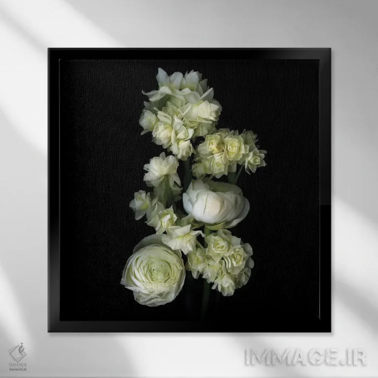 تابلو دکوراتیو گیاهان معطر سفید اثر مگدا ایندیگو - نمای قابدار مشکی