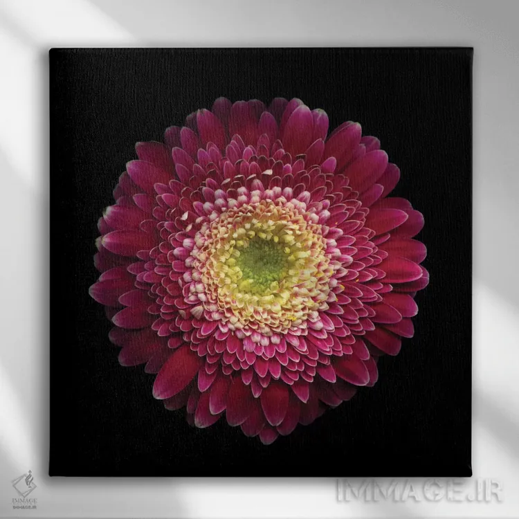 تابلو دکوراتیو به خوبی این نمی شه؟ اثر مگدا ایندیگو - نمای روبهرو روی دیوار