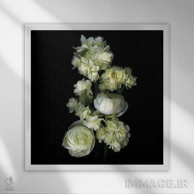 تابلو دکوراتیو گیاهان معطر سفید اثر مگدا ایندیگو - نمای قابدار سفید