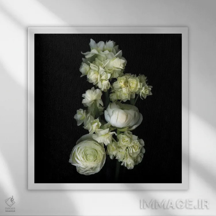 تابلو دکوراتیو گیاهان معطر سفید اثر مگدا ایندیگو - نمای قابدار سفید