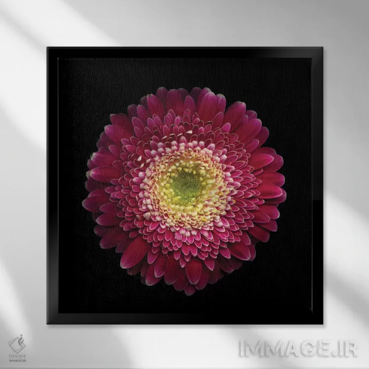 تابلو دکوراتیو به خوبی این نمی شه؟ اثر مگدا ایندیگو - نمای قابدار مشکی