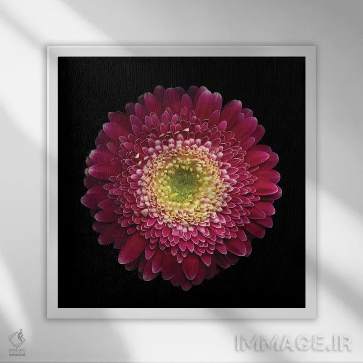 تابلو دکوراتیو به خوبی این نمی شه؟ اثر مگدا ایندیگو - نمای قابدار سفید