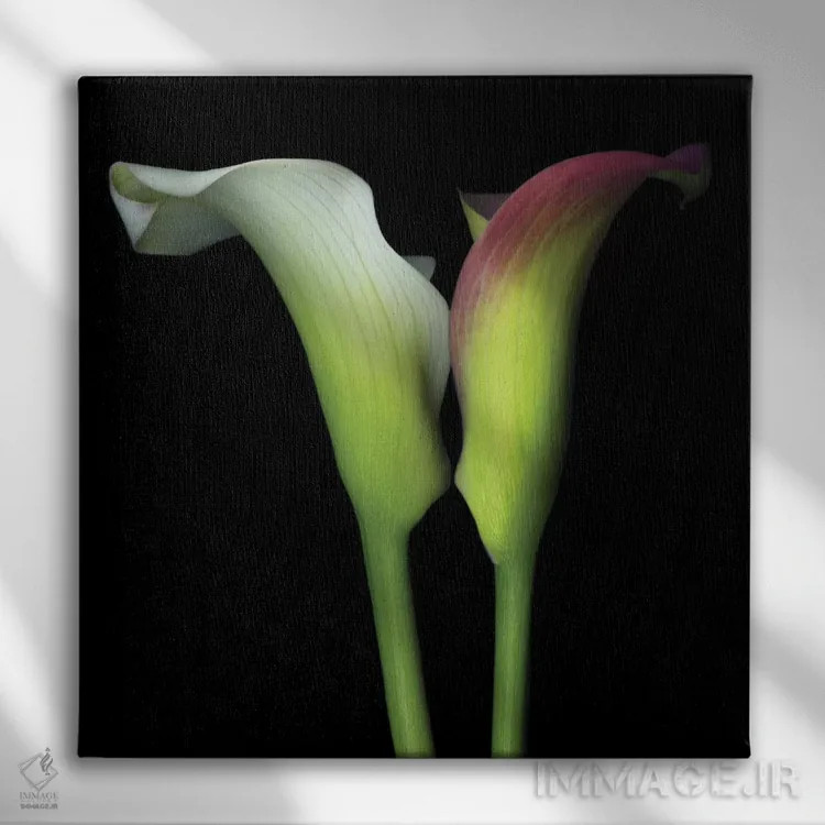 تابلو دکوراتیو گونه به گونه اثر مگدا ایندیگو - نمای روبهرو روی دیوار