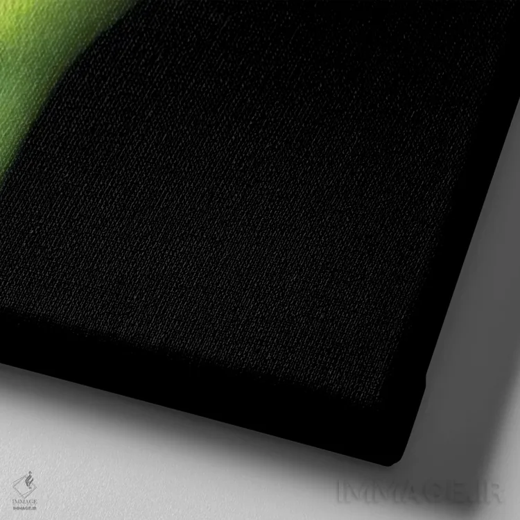 تابلو دکوراتیو گونه به گونه اثر مگدا ایندیگو - نمای نزدیک بافت بوم