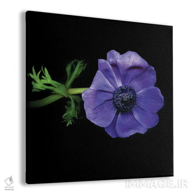 تابلو دکوراتیو شقایق های دریایی دهم اثر مگدا ایندیگو - نمای پرسپکتیو محصول